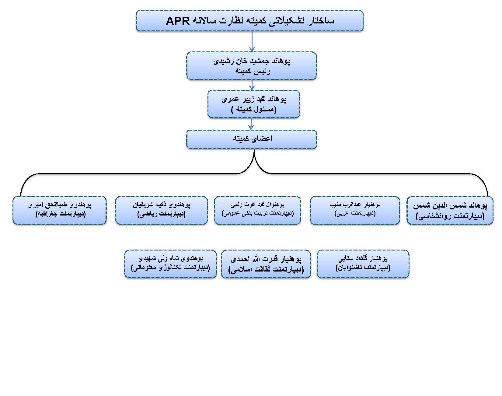 ساختار تشکلاتی کمیته نظارت سالانه