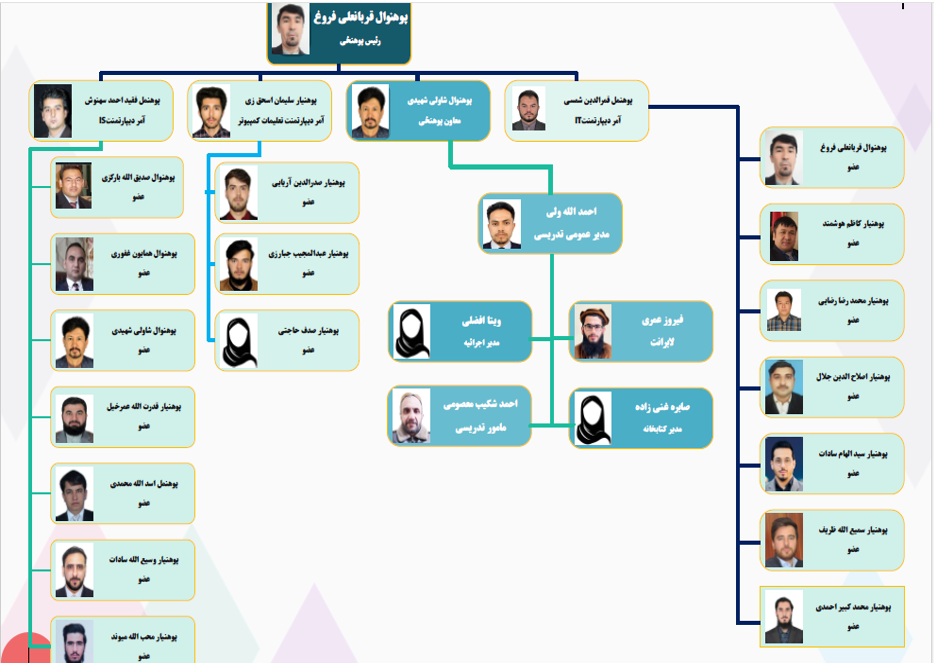 چارت تشکییلات 